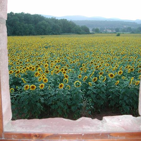 Pensjonat Casale Il Colombaio Di Toiano Valli Zewnętrze zdjęcie