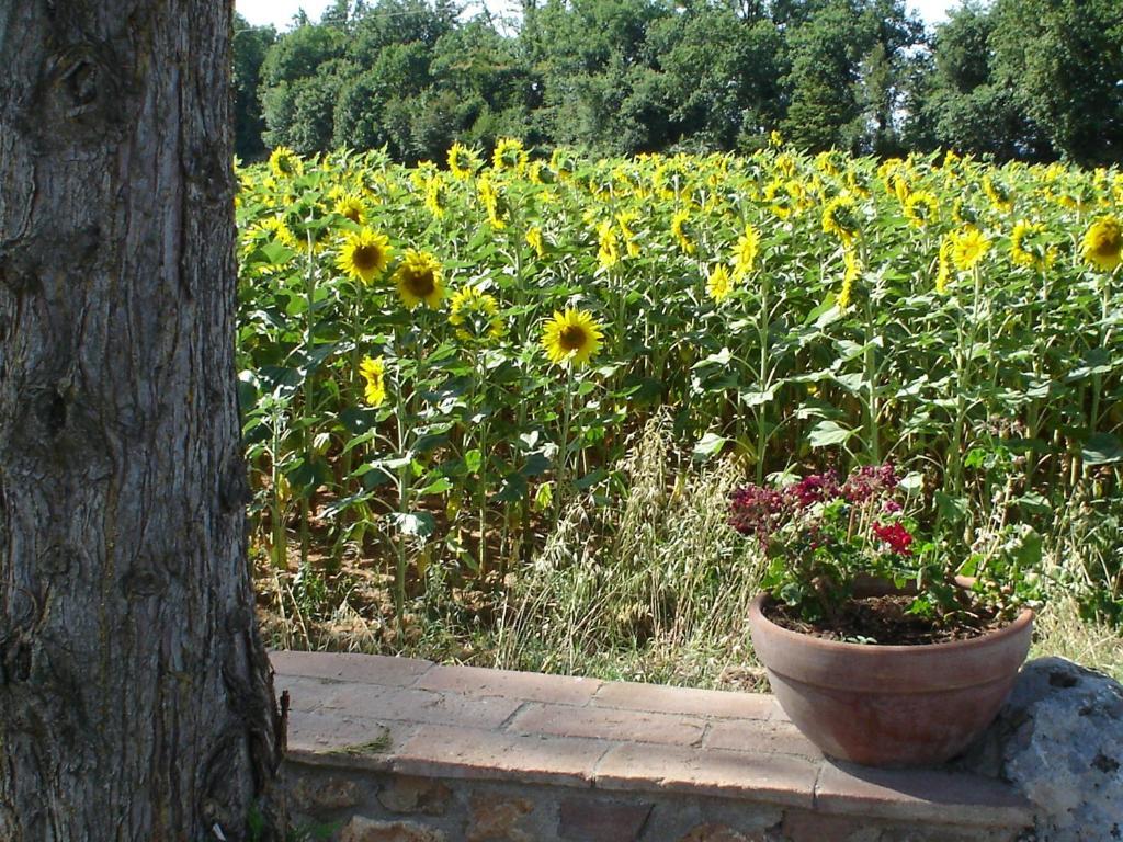 Pensjonat Casale Il Colombaio Di Toiano Valli Pokój zdjęcie